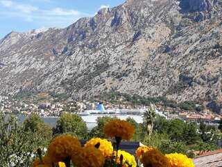 Апартаменты Maritimo Apartments Котор Апартаменты с 1 спальней-60